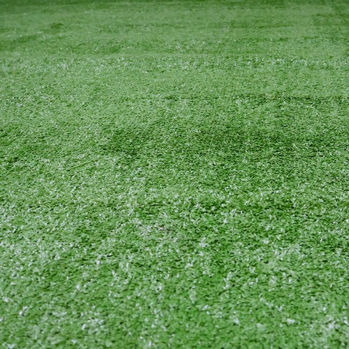 Economy synthetic grass - grass, roll