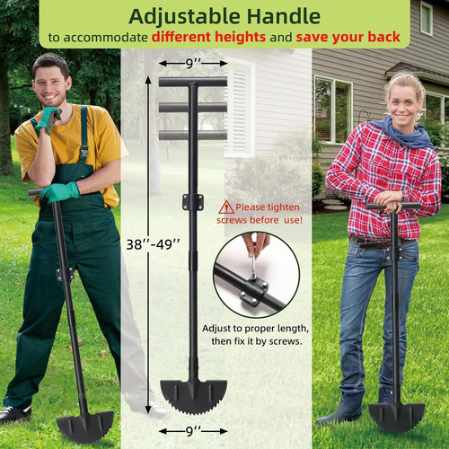 Garden edging lawn - lawn, landscape